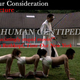 Illustration for article titled iThe Human Centipede (First Sequence)/i